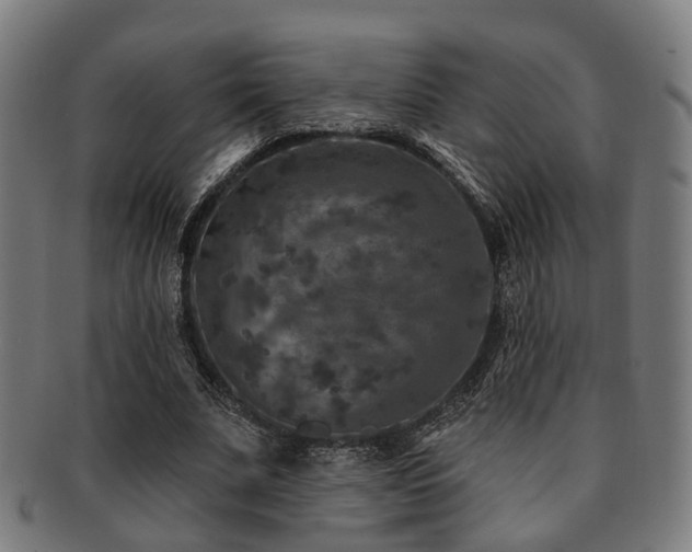 X0000091890679200709051344