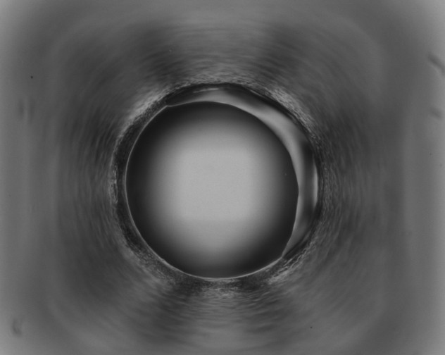 X0000091890680200709051344