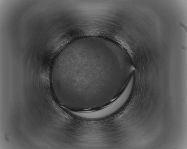 X0000091890681200709051344