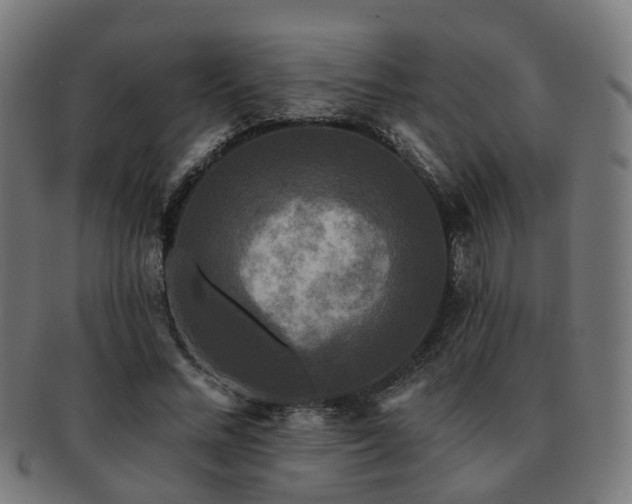 X0000091890684200709051344