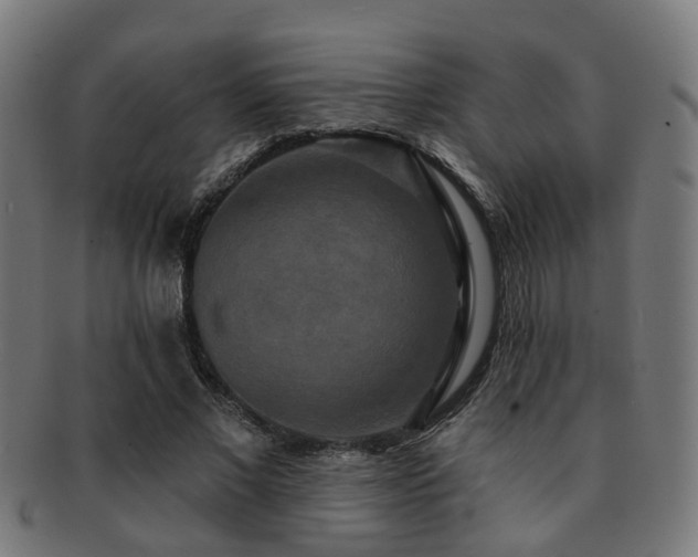X0000091890685200709051344