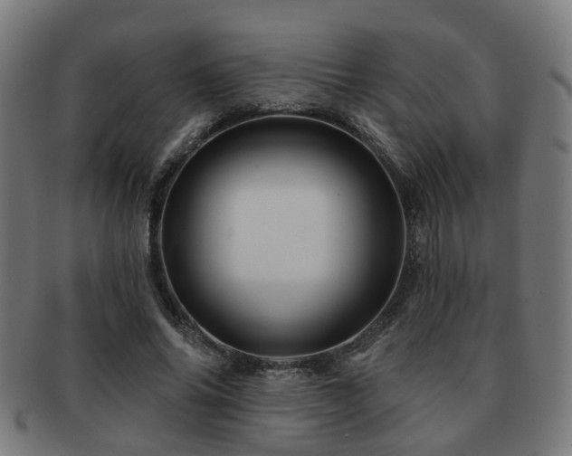 X0000091890686200709051344