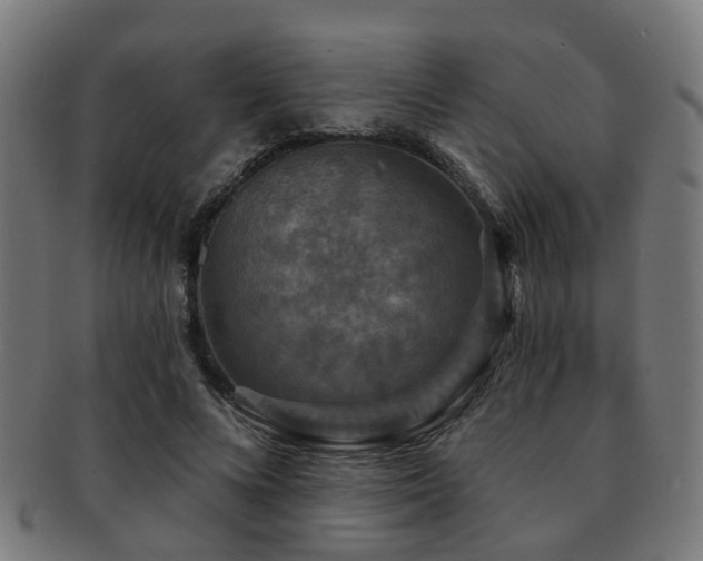 X0000091890688200709051344