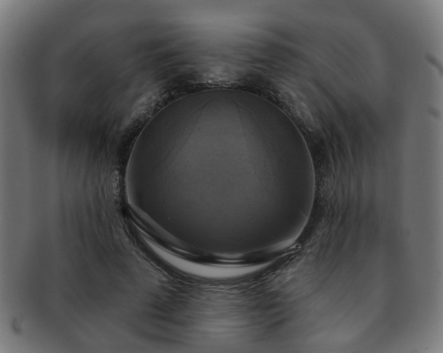 X0000091890689200709051343