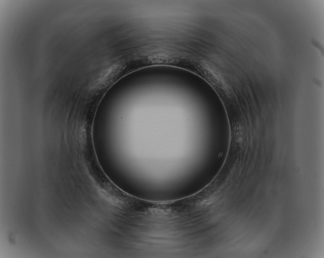 X0000091890690200709051343