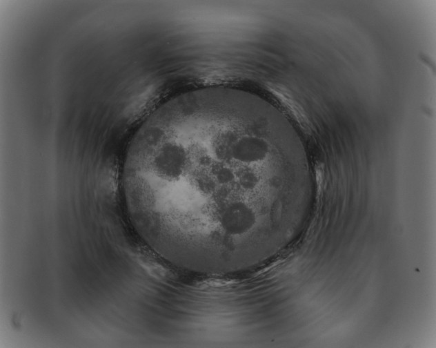 X0000091890691200709051343