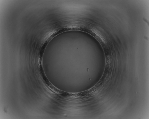 X0000091890692200709051343