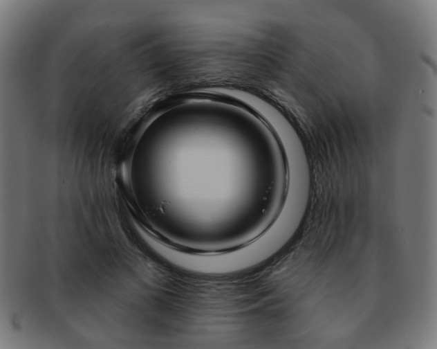 X0000091890693200709051343