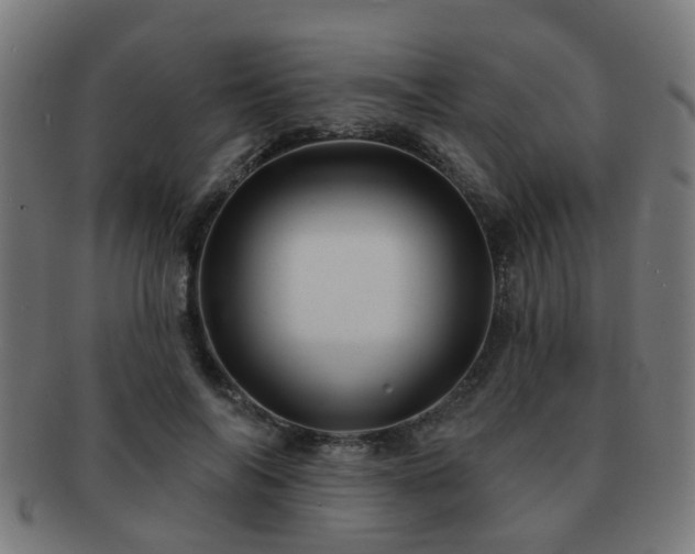 X0000091890694200709051343