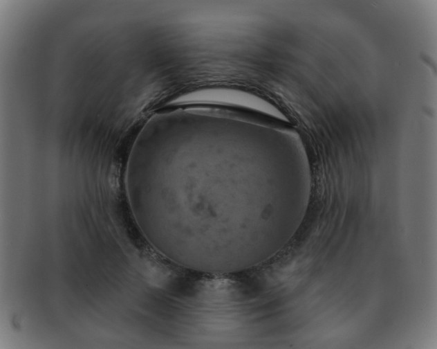 X0000091890695200709051343