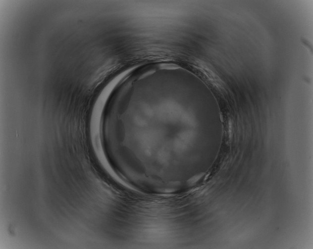 X0000091890696200709051343