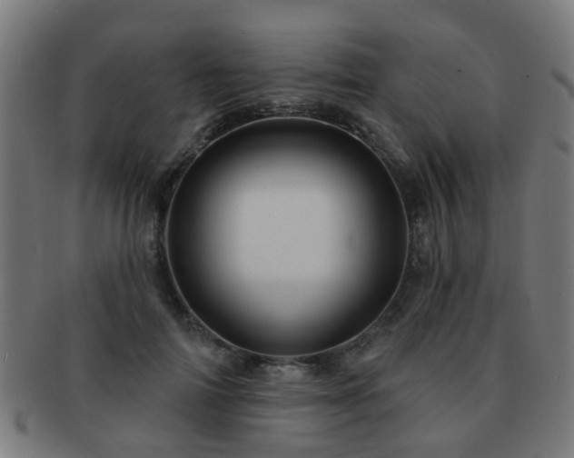 X0000091890698200709051343