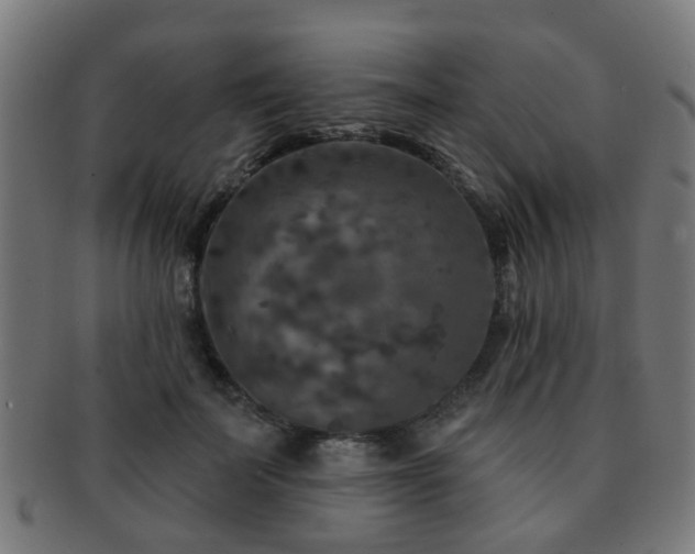 X0000091890699200709051343