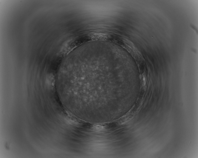 X0000091890701200709051343
