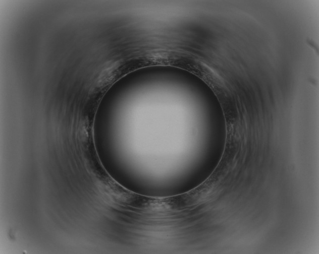 X0000091890702200709051343