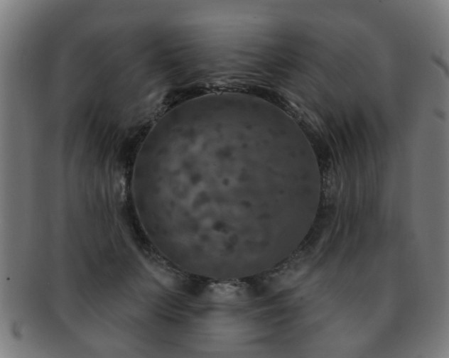 X0000091890703200709051343