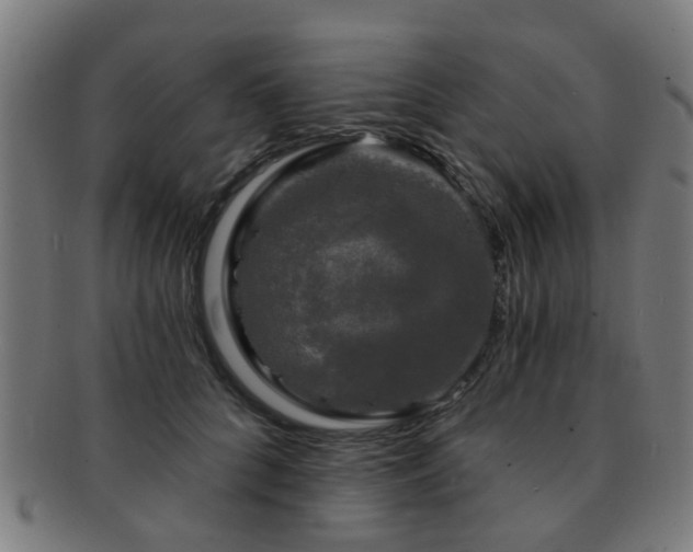 X0000091890704200709051343