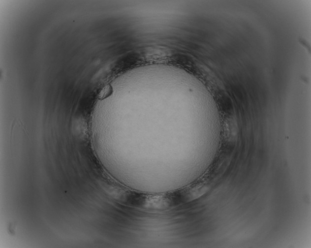 X0000091890705200709051343