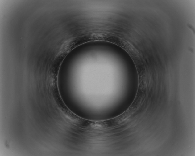 X0000091890706200709051343