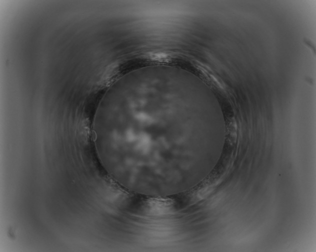 X0000091890707200709051343