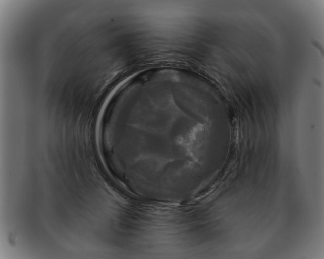 X0000091890708200709051343
