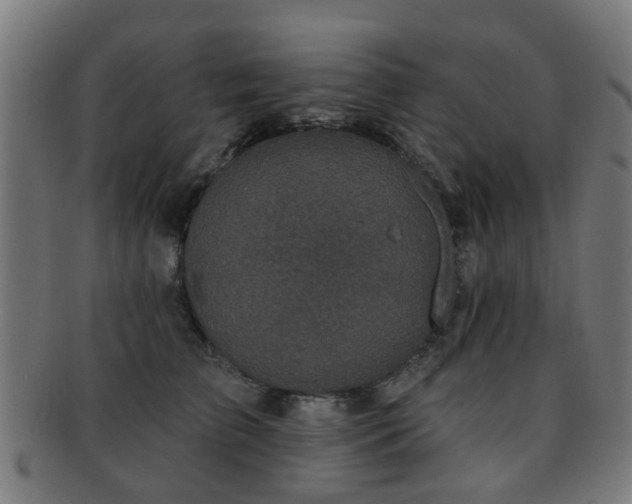 X0000091890709200709051343