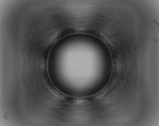 X0000091890710200709051343