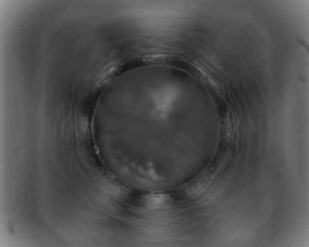 X0000091890711200709051343