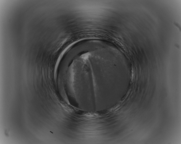 X0000091890712200709051343