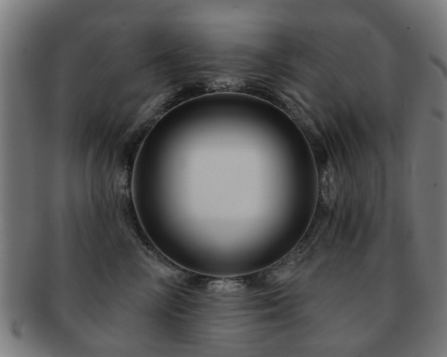 X0000091890714200709051343