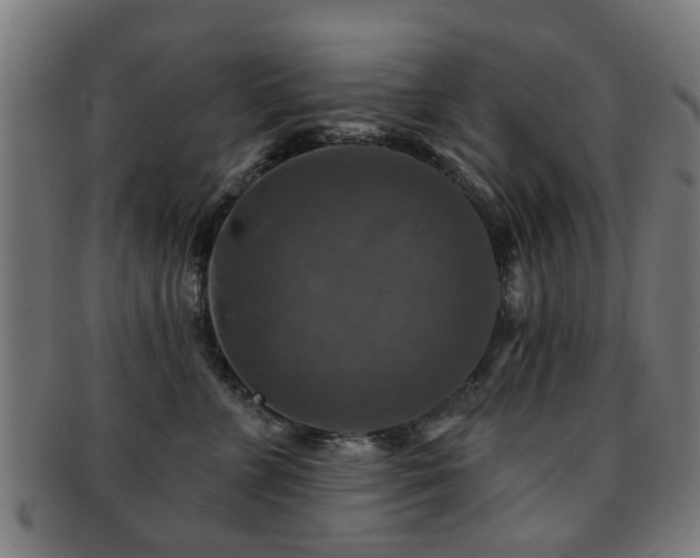 X0000091890715200709051343