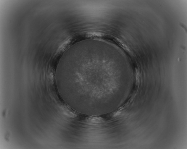 X0000091890716200709051343