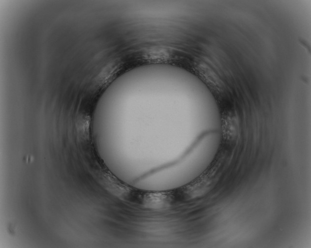 X0000091890717200709051343