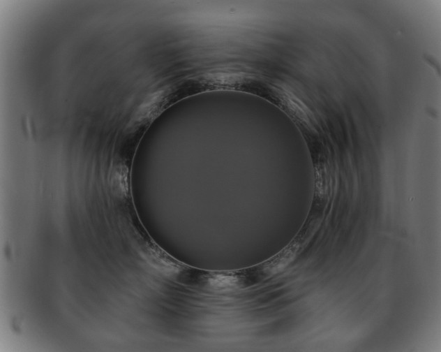 X0000091890718200709051343