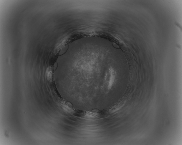 X0000091890720200709051343