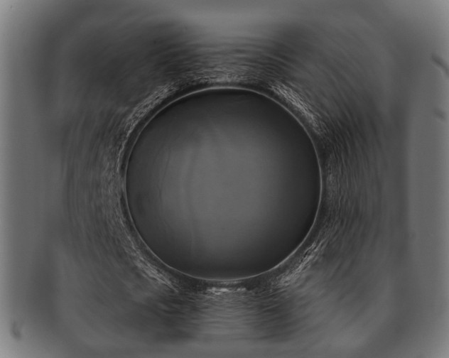 X0000091890721200709051343