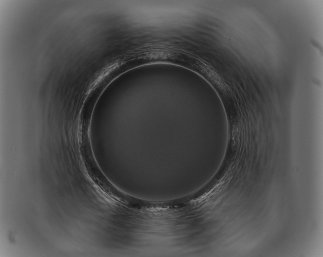 X0000091890722200709051343