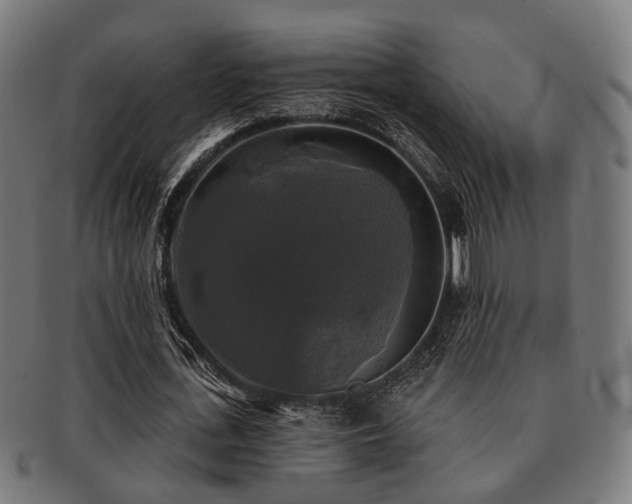 X0000091890723200709051343