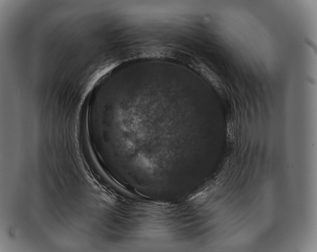 X0000091890724200709051343