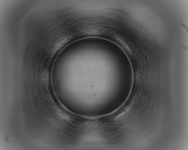 X0000091890725200709051343
