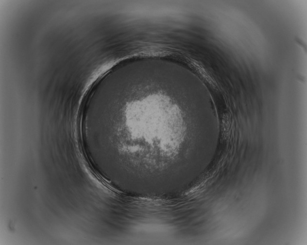 X0000091890726200709051343