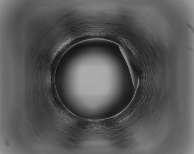 X0000091890727200709051343