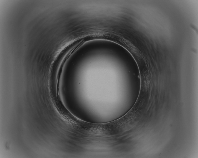 X0000091890728200709051343