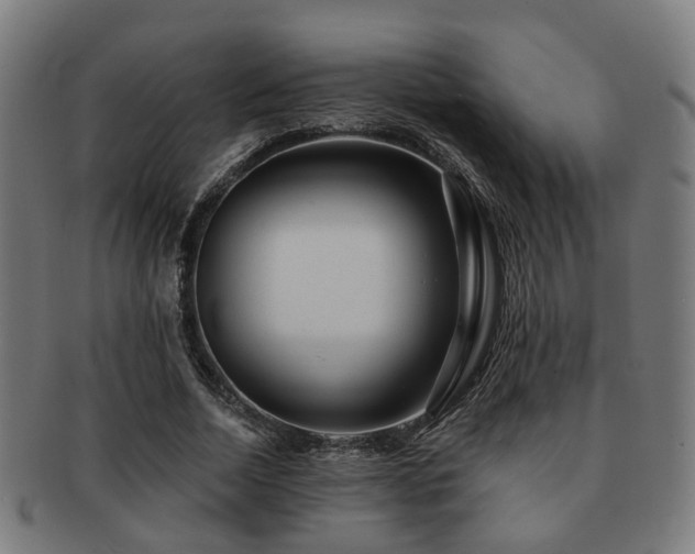 X0000091890730200709051343