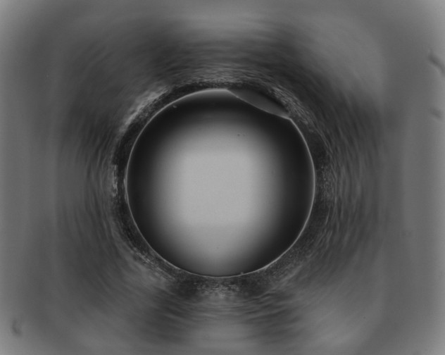 X0000091890731200709051343