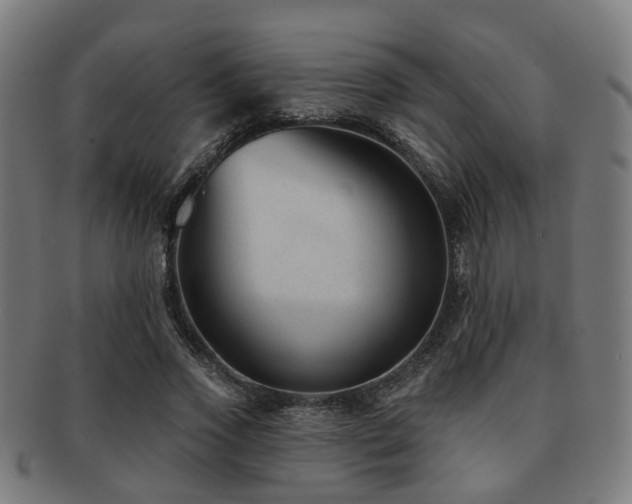 X0000091890733200709051343