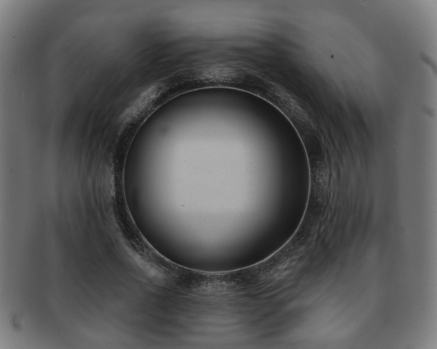 X0000091890734200709051343