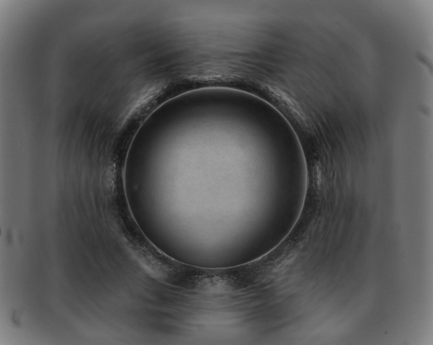 X0000091890735200709051343