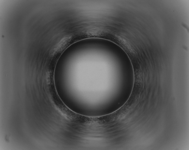 X0000091890738200709051343