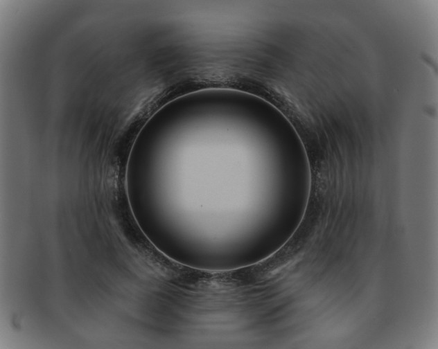 X0000091890739200709051343